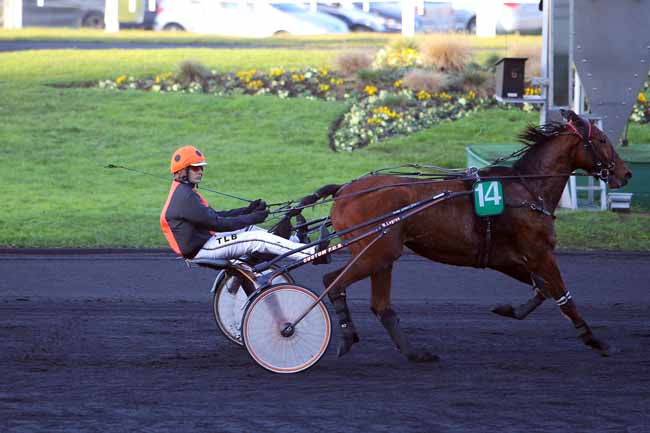 Photo d'arrivée de la course pmu PRIX DE QUISSAC à PARIS-VINCENNES le Jeudi 15 décembre 2016