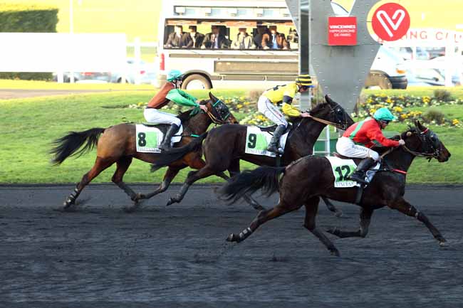 Photo d'arrivée de la course pmu PRIX DE ROSTRENEN à PARIS-VINCENNES le Jeudi 15 décembre 2016