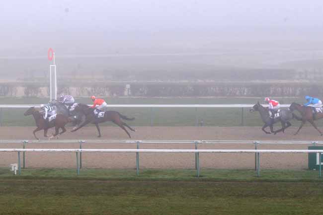 Photo d'arrivée de la course pmu PRIX GREY DAWN à DEAUVILLE le Samedi 17 décembre 2016