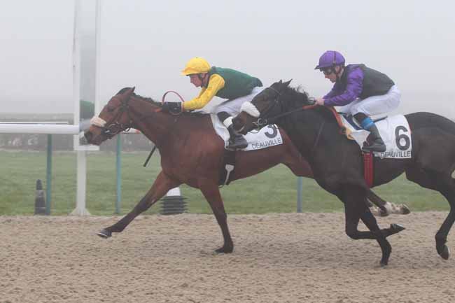 Photo d'arrivée de la course pmu PRIX DE MAROLLES à DEAUVILLE le Samedi 17 décembre 2016