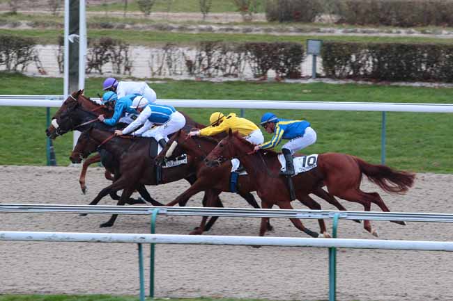 Photo d'arrivée de la course pmu PRIX DE FLERS à DEAUVILLE le Lundi 19 décembre 2016