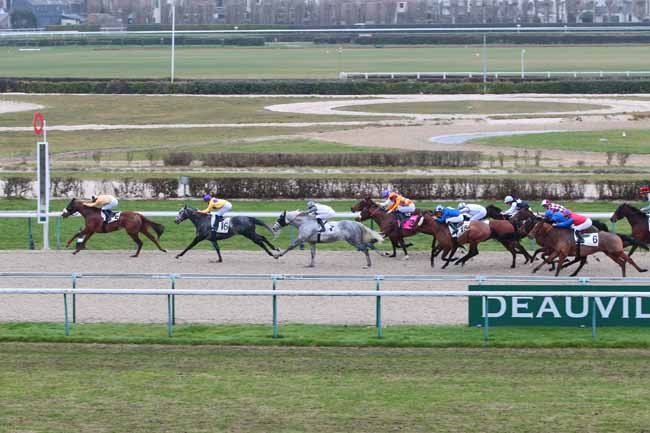 Photo d'arrivée de la course pmu PRIX DE LA SUISSE NORMANDE à DEAUVILLE le Lundi 19 décembre 2016