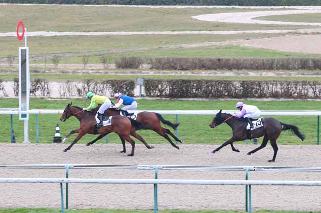 Photo d'arrivée de la course pmu PRIX DE PUTANGES à DEAUVILLE le Lundi 19 décembre 2016