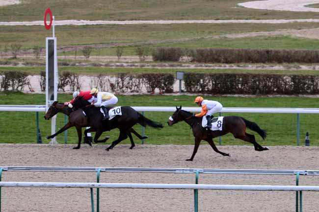 Photo d'arrivée de la course pmu PRIX DE LA PIERRE AUX FEES à DEAUVILLE le Lundi 19 décembre 2016