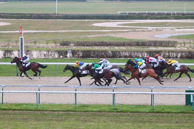 Photo d'arrivée de la course pmu PRIX DE LA BOURDONNIERE à DEAUVILLE le Lundi 19 décembre 2016