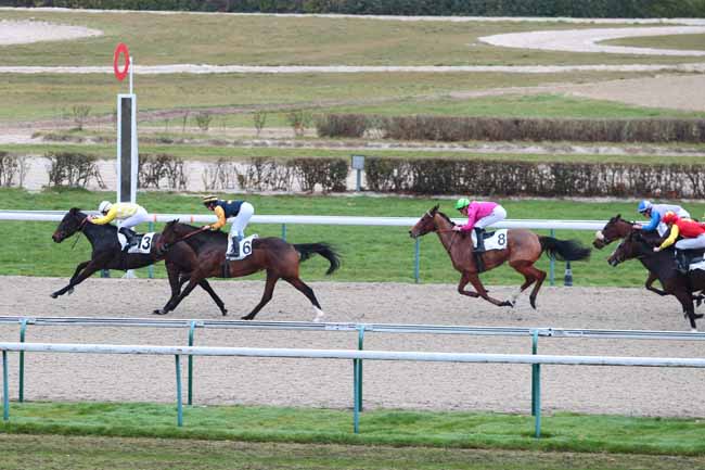 Photo d'arrivée de la course pmu PRIX DE MOULINS-LA-MARCHE à DEAUVILLE MIDI le Lundi 19 décembre 2016