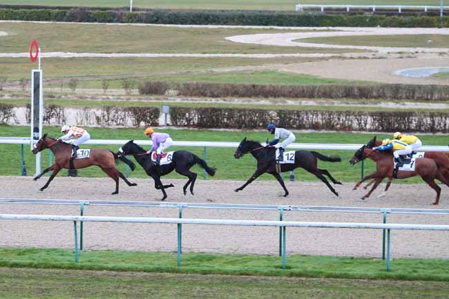 Photo d'arrivée de la course pmu PRIX DE LA FERRIERE AU DOYEN à DEAUVILLE MIDI le Lundi 19 décembre 2016