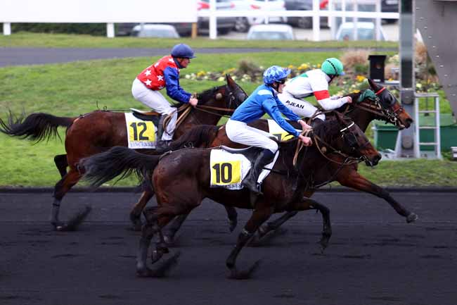 Photo d'arrivée de la course pmu PRIX PIERRE GIFFARD à PARIS-VINCENNES le Mardi 20 décembre 2016