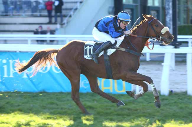 Photo d'arrivée de la course pmu PRIX DE MONEIN à PAU le Mercredi 21 décembre 2016