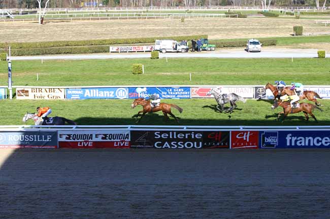 Photo d'arrivée de la course pmu PRIX GEORGES PASTRE à PAU le Mercredi 21 décembre 2016