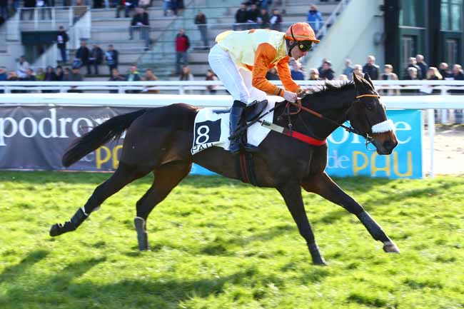 Photo d'arrivée de la course pmu PRIX DE BIELLE à PAU le Mercredi 21 décembre 2016