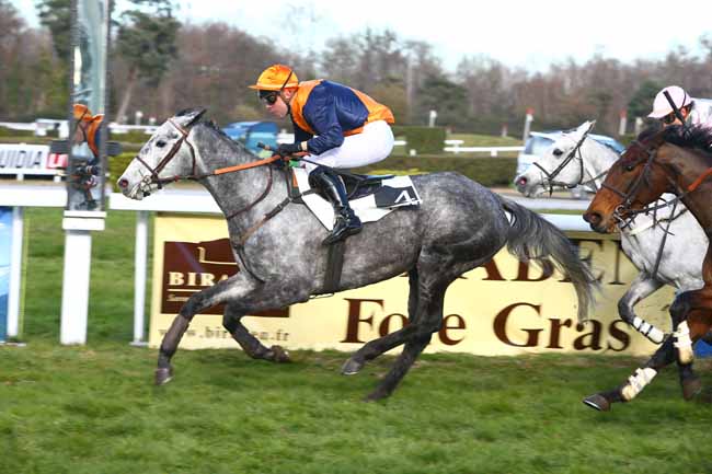 Photo d'arrivée de la course pmu PRIX DE SAINT-VINCENT à PAU le Mercredi 21 décembre 2016