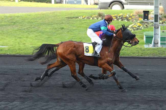 Photo d'arrivée de la course pmu PRIX DE L'ANGOUMOIS à PARIS-VINCENNES le Mercredi 21 décembre 2016