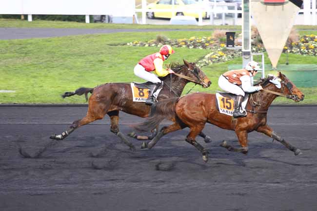 Photo d'arrivée de la course pmu PRIX DE JONVELLE à PARIS-VINCENNES le Mercredi 21 décembre 2016