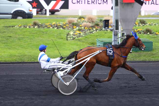 Photo d'arrivée de la course pmu PRIX DE PLOUESCAT à PARIS-VINCENNES le Samedi 24 décembre 2016