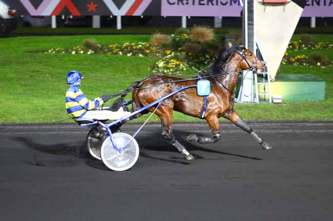 Photo d'arrivée de la course pmu PRIX DE BRIVE-LA-GAILLARDE à PARIS-VINCENNES le Dimanche 25 décembre 2016