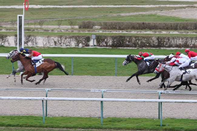 Photo d'arrivée de la course pmu PRIX DU CHALET RUSSE à DEAUVILLE le Lundi 26 décembre 2016