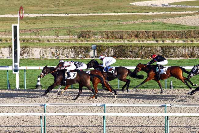 Photo d'arrivée de la course pmu PRIX DE BALME à DEAUVILLE le Lundi 26 décembre 2016