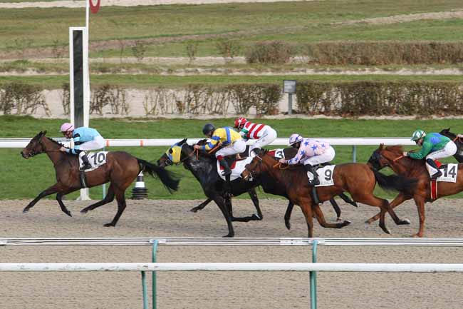 Photo d'arrivée de la course pmu PRIX DE CUIGNY à DEAUVILLE le Lundi 26 décembre 2016