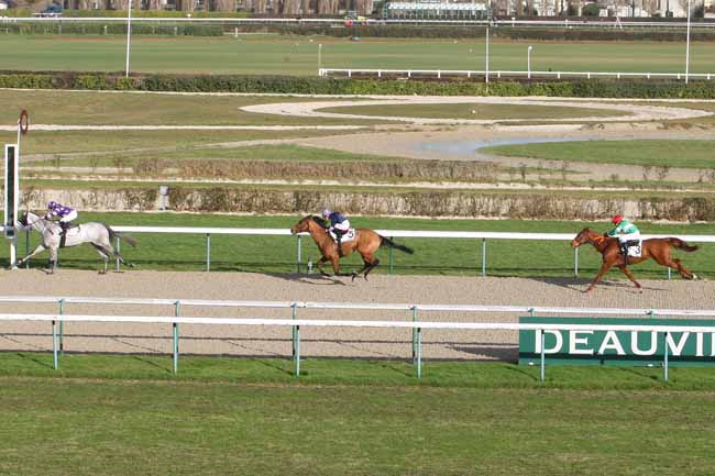 Photo d'arrivée de la course pmu PRIX DU VEXIN NORMAND à DEAUVILLE le Lundi 26 décembre 2016
