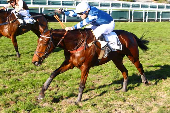 Photo d'arrivée de la course pmu PRIX DE L'AQUITAINE à CAGNES-SUR-MER le Mercredi 28 décembre 2016