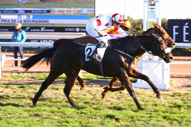 Photo d'arrivée de la course pmu PRIX DE LA BOURGOGNE à CAGNES-SUR-MER le Mercredi 28 décembre 2016