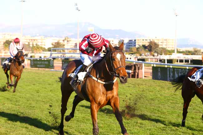 Photo d'arrivée de la course pmu PRIX DE LA BRETAGNE à CAGNES-SUR-MER le Mercredi 28 décembre 2016