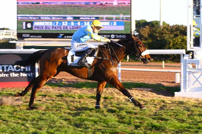 Photo d'arrivée de la course pmu PRIX DU PAYS DE LOIRE à CAGNES-SUR-MER le Mercredi 28 décembre 2016
