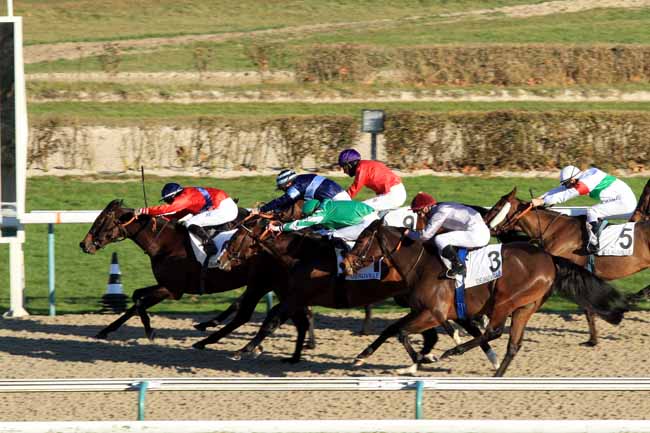 Photo d'arrivée de la course pmu PRIX DE PRAIL à DEAUVILLE le Mercredi 28 décembre 2016