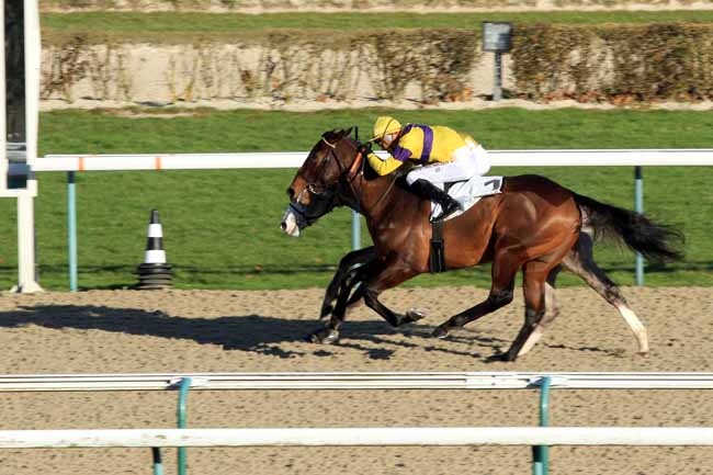 Photo d'arrivée de la course pmu PRIX DE LA BARELIERE à DEAUVILLE le Mercredi 28 décembre 2016