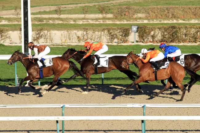 Photo d'arrivée de la course pmu PRIX DE CRENNES à DEAUVILLE le Mercredi 28 décembre 2016