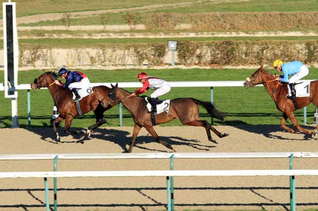 Photo d'arrivée de la course pmu PRIX DU HOME à DEAUVILLE le Mercredi 28 décembre 2016