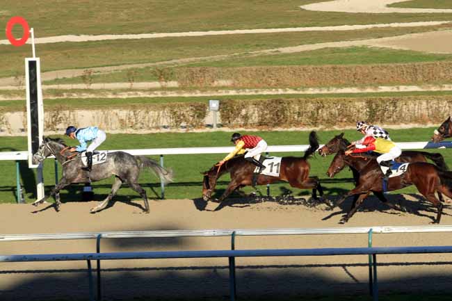 Photo d'arrivée de la course pmu PRIX MISS SATAMIXA à DEAUVILLE le Mercredi 28 décembre 2016