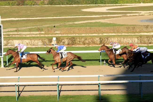 Photo d'arrivée de la course pmu PRIX DE MORICAUD à DEAUVILLE le Mercredi 28 décembre 2016
