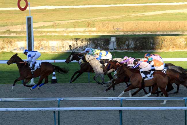 Photo d'arrivée de la course pmu PRIX DE MARMOUILLET à DEAUVILLE le Mercredi 28 décembre 2016