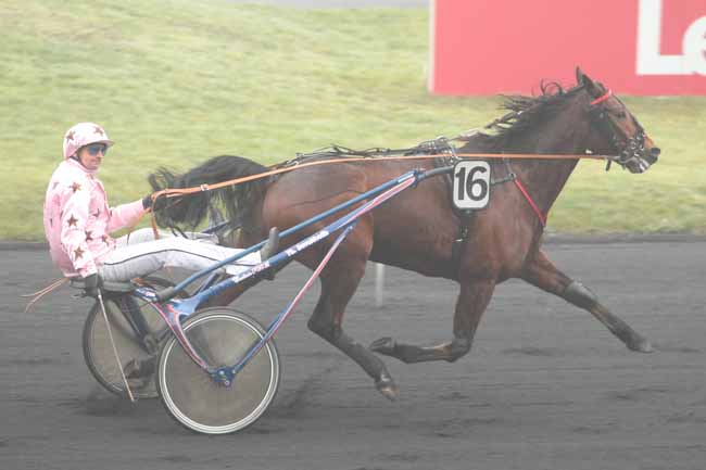 Photo d'arrivée de la course pmu PRIX DE SAINT-LEONARD à PARIS-VINCENNES le Vendredi 30 décembre 2016