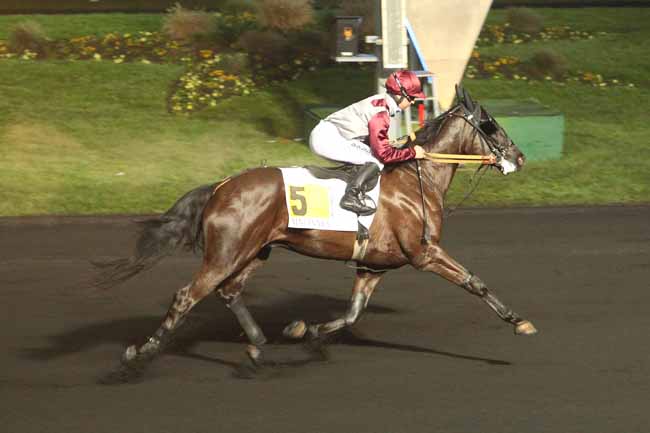 Photo d'arrivée de la course pmu PRIX DE NIMES à PARIS-VINCENNES le Vendredi 30 décembre 2016