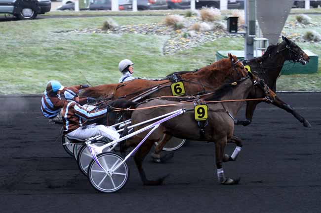 Photo d'arrivée de la course pmu PRIX DU CROISE-LAROCHE à PARIS-VINCENNES le Dimanche 1 janvier 2017