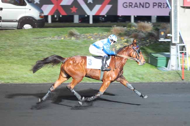 Photo d'arrivée de la course pmu PRIX DE TARBES à PARIS-VINCENNES le Dimanche 1 janvier 2017
