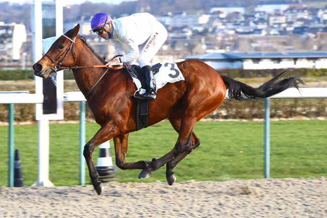 Photo d'arrivée de la course pmu PRIX DE SAINT-ROCH à DEAUVILLE le Lundi 2 janvier 2017