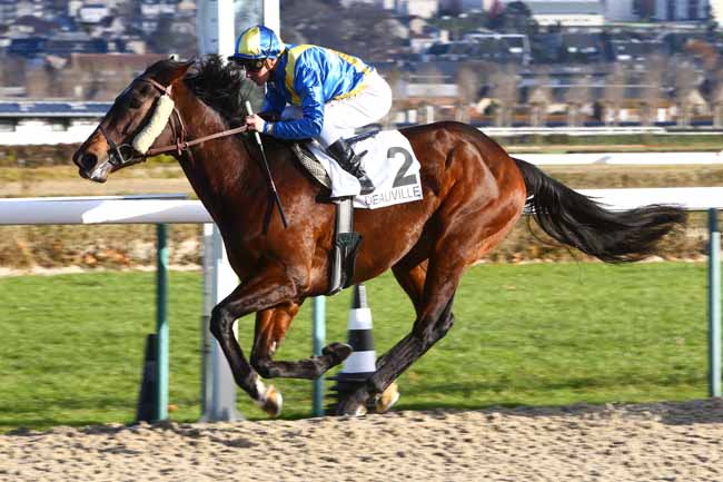 Photo d'arrivée de la course pmu PRIX DE LA RIVIERE SAINT-SAUVEUR à DEAUVILLE le Lundi 2 janvier 2017