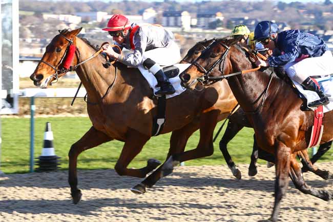 Photo d'arrivée de la course pmu PRIX DE BEAUFOSSE à DEAUVILLE le Lundi 2 janvier 2017