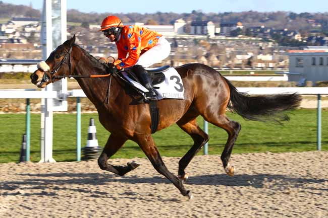 Photo d'arrivée de la course pmu PRIX DE RABODANGES à DEAUVILLE le Lundi 2 janvier 2017