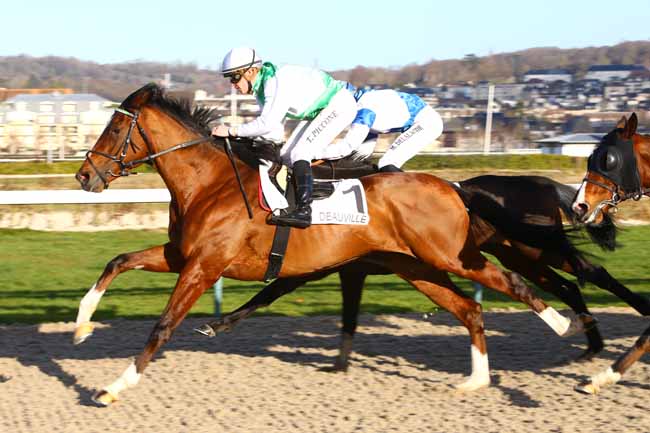 Photo d'arrivée de la course pmu PRIX DE FONTAINE à DEAUVILLE le Lundi 2 janvier 2017