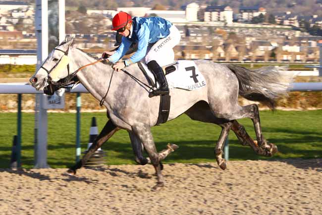 Photo d'arrivée de la course pmu PRIX DE LA ROCHE à DEAUVILLE le Lundi 2 janvier 2017
