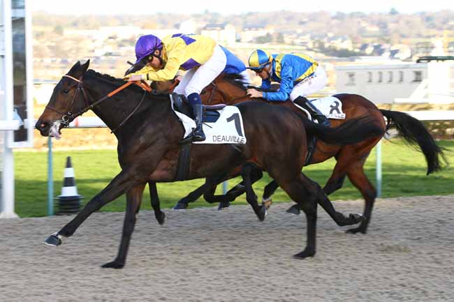 Photo d'arrivée de la course pmu PRIX DES DOUETS à DEAUVILLE le Lundi 2 janvier 2017