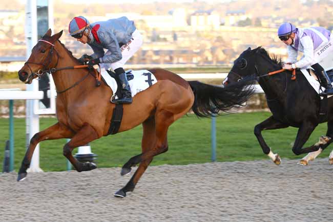 Photo d'arrivée de la course pmu PRIX DES RUS à DEAUVILLE le Lundi 2 janvier 2017