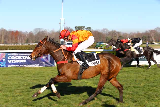 Photo d'arrivée de la course pmu PRIX D'OLORON à PAU le Mercredi 4 janvier 2017