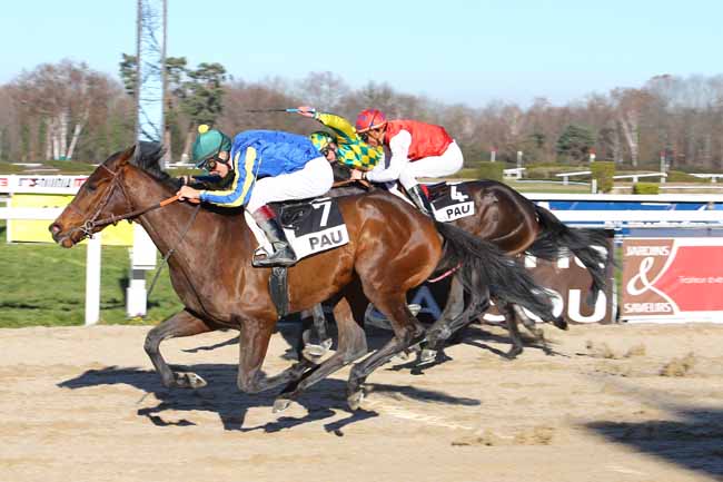 Photo d'arrivée de la course pmu PRIX DE JURANCON à PAU le Mercredi 4 janvier 2017