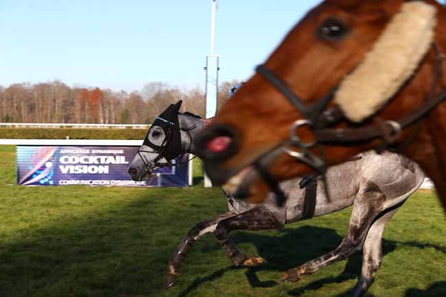 Photo d'arrivée de la course pmu PRIX DE MORLAAS à PAU le Mercredi 4 janvier 2017